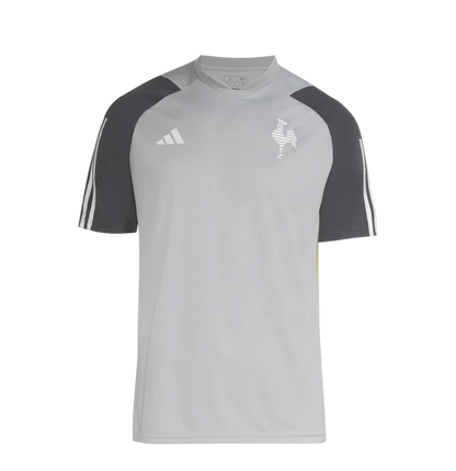 Camisa Atlético Mineiro Treino Cinza 24/25 - Versão Torcedor