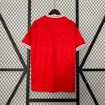 Camisa Dinamarca Home 24/25 - Torcedor Masculina Lançamento