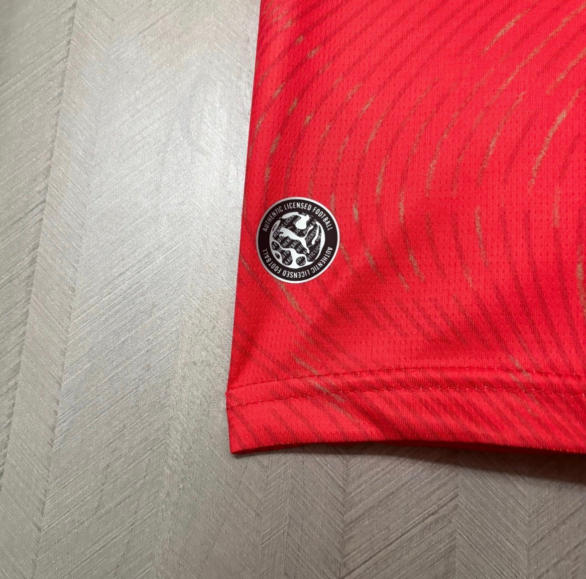 Camisa Suiça 26/27 - Home Puma Jogador Masculina