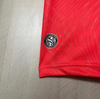 Camisa Suiça 26/27 - Home Puma Jogador Masculina