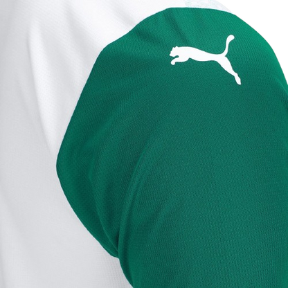Camisa Palmeiras 25/26 Away - Torcedor Masculina
