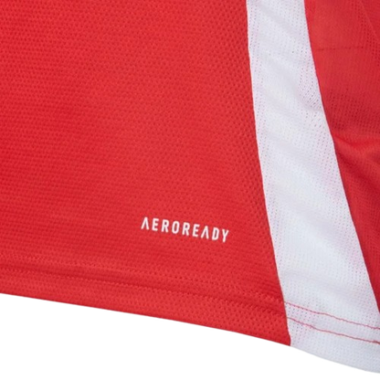 Camisa Internacional 25/26 Home - Torcedor Masculina