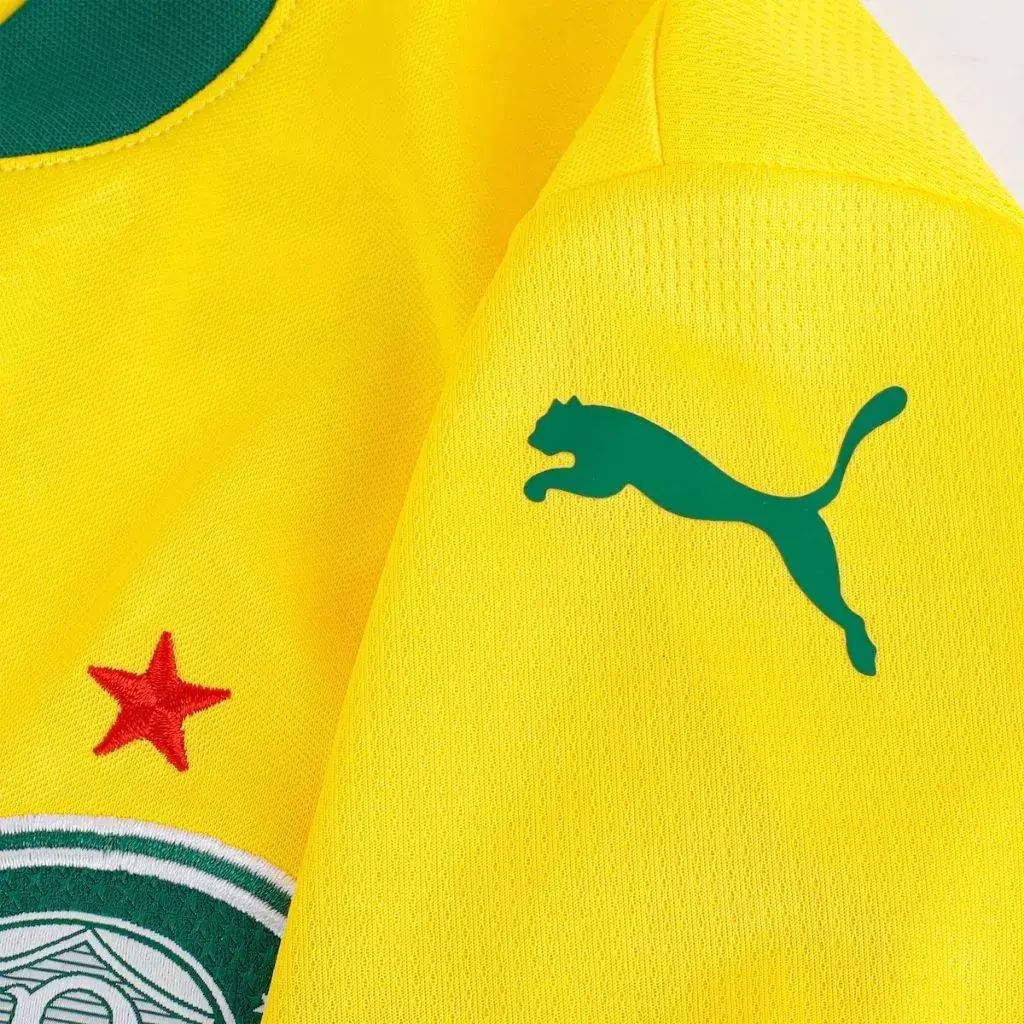 Camisa Palmeiras Third 25/26 - Torcedor Puma Masculina